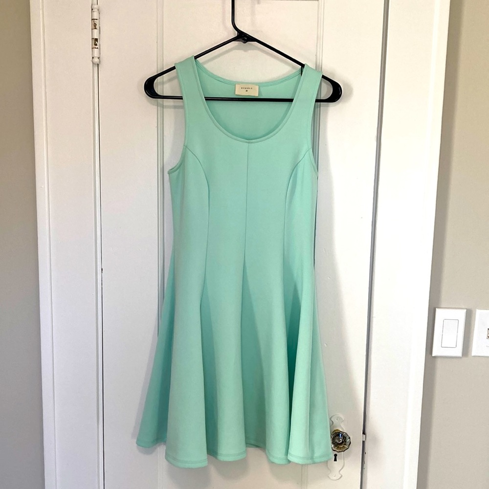 Mint skater dress